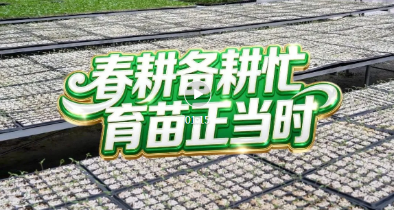 安排上了！临汾这个“种苗超市”年出500万株！