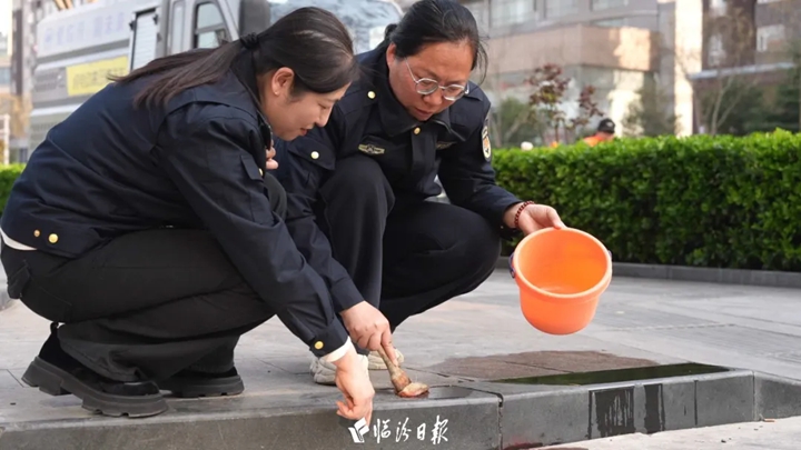 我是创文人 | 临汾环卫工郑彩婷，擦亮城市洁净底色！