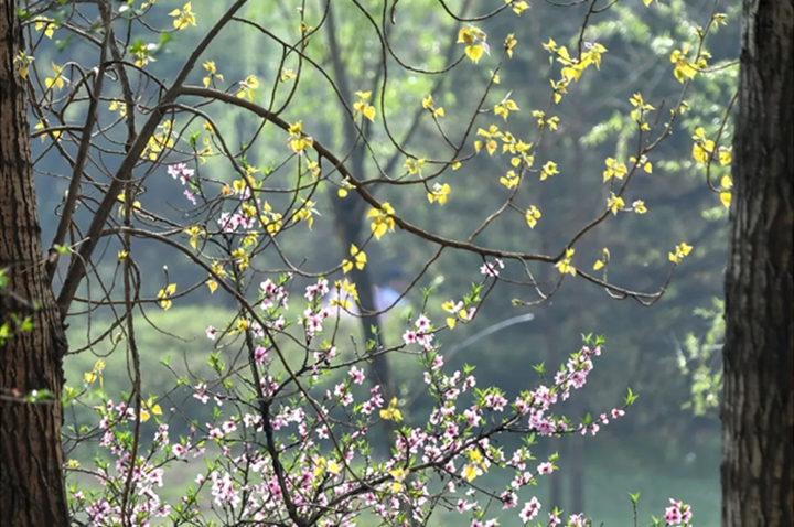 海报・临汾｜这个春天，我们只负责健康和快乐