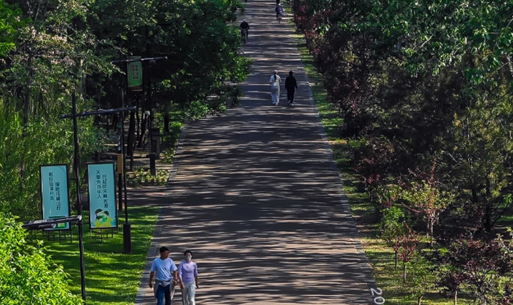 海报・临汾｜给自己一点时间 去成为你想成为的人