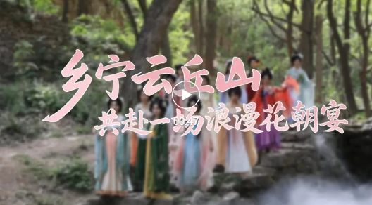 全国推荐！乡宁云丘山牡丹出圈
