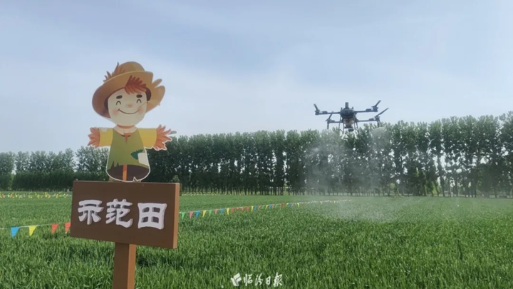 田间地头变课堂！全省农技专家在临汾开讲~