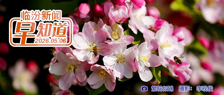 全国榜单！小西天景区入选/高校专升本考试网报志愿7日开始/市中医医院公示