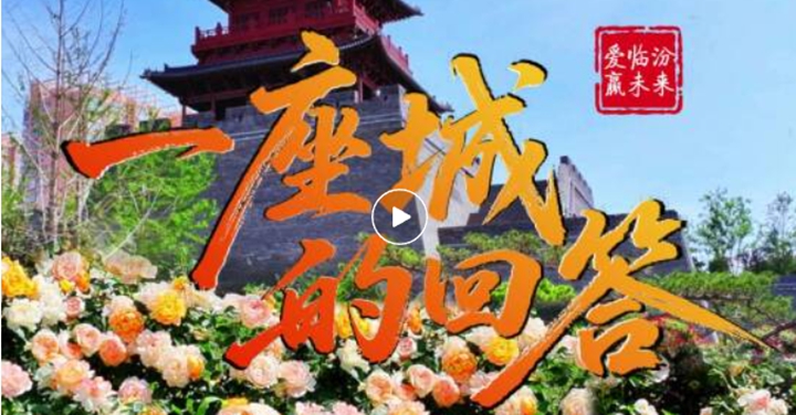 一座城的回答
