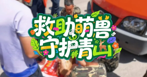 乡宁多方联手，成功救助“萌兽”！