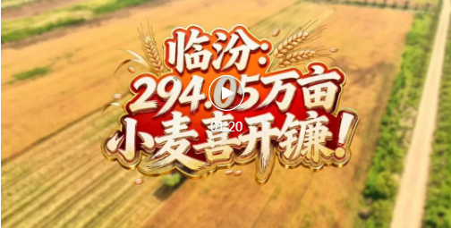 临汾，开镰！