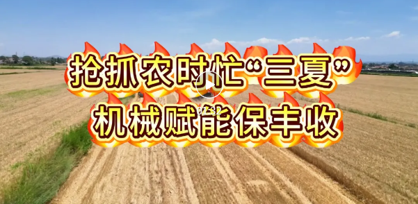 曲沃：麦浪飘香丰收忙！