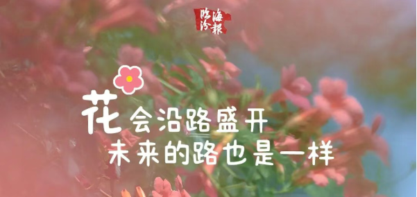 海报・临汾｜花会沿路盛开 未来的路也是一样