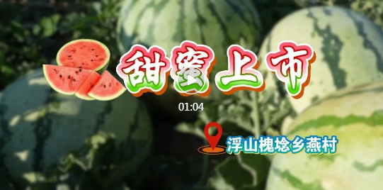 开炫！浮山旱地西瓜甜蜜上市…