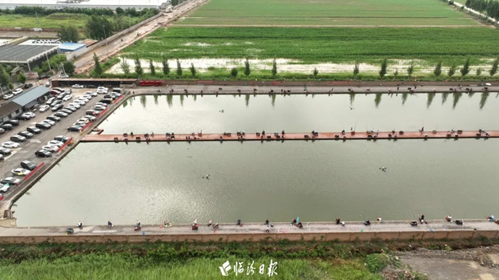 高手云集！襄汾这场钓鱼比赛圆满收竿