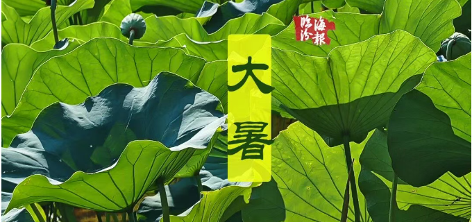 海报・临汾｜心有美好时，盛夏亦清欢~