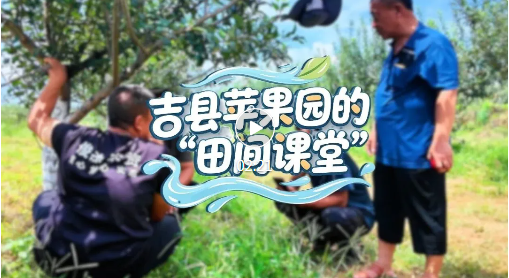 全程管护！吉县苹果有了“技术管家”