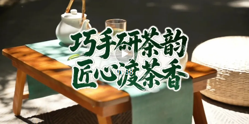 临汾刘翠萍：二十余年坚守，只为一杯好茶~