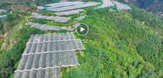 即将启幕！隰县采摘季系列活动来了