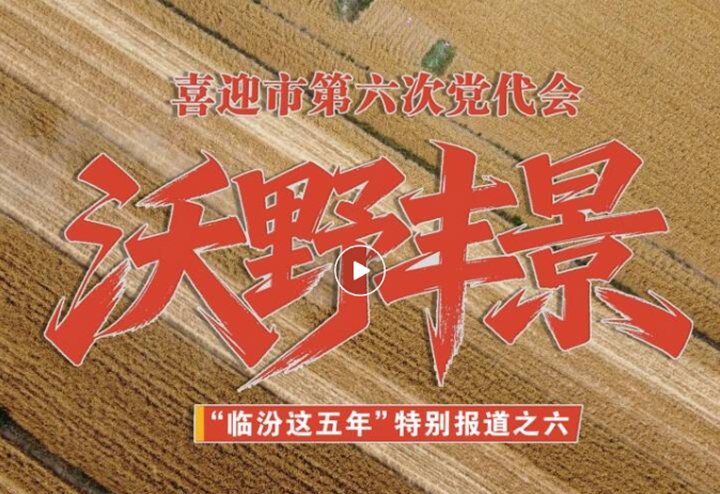 喜迎市党代会 | “临汾这五年”特别报道之沃野丰景