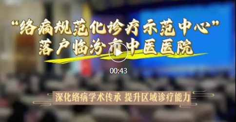 “络病规范化诊疗示范中心”，落户市中医医院！