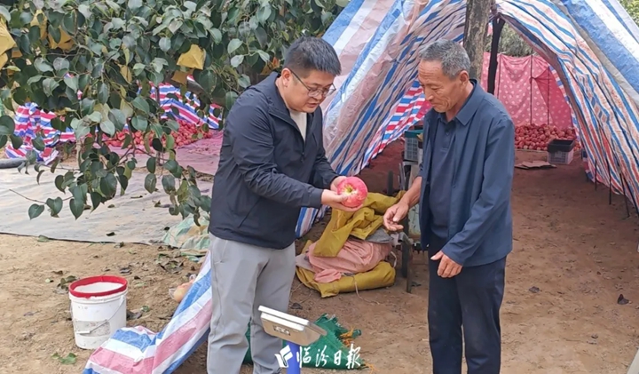 第一书记变身带货主播，为宁粹苹果“打Call”！