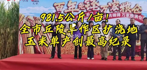 亩产981.5公斤！我市丘陵旱作区扩浇地玉米单产创新高