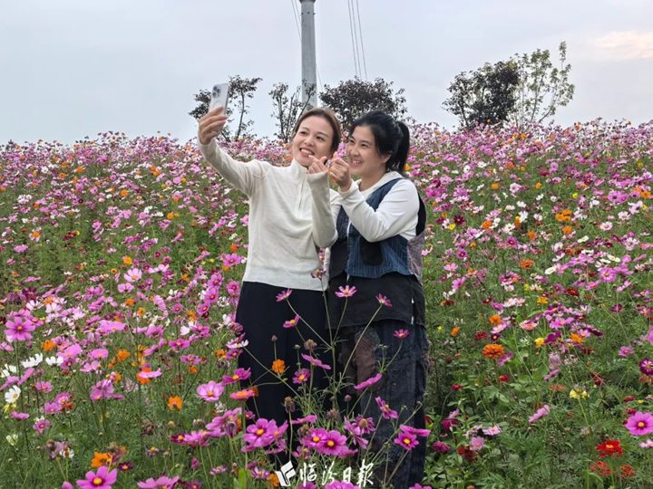 襄汾：一河秋水，两岸花开~