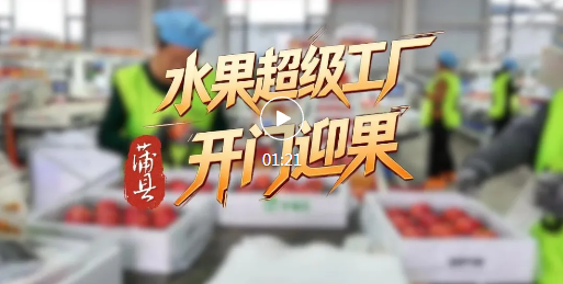 蒲县水果超级工厂，开门迎“果”！