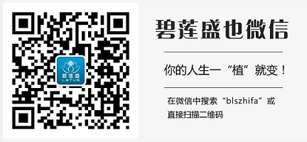 <em>种植头发</em>过多久<em>会掉</em>_临汾新闻网