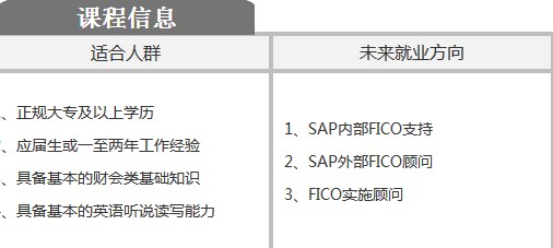 上海SAP财务模块课程系统培训教材关于上海