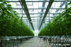 自然（5张）