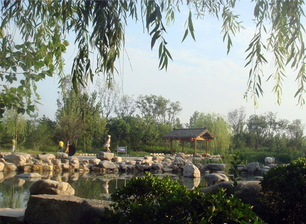 滨河风景（8张）