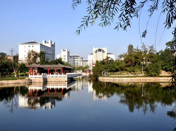 绿波荡漾 