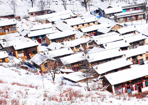 乡间雪景美如画（3张） 
