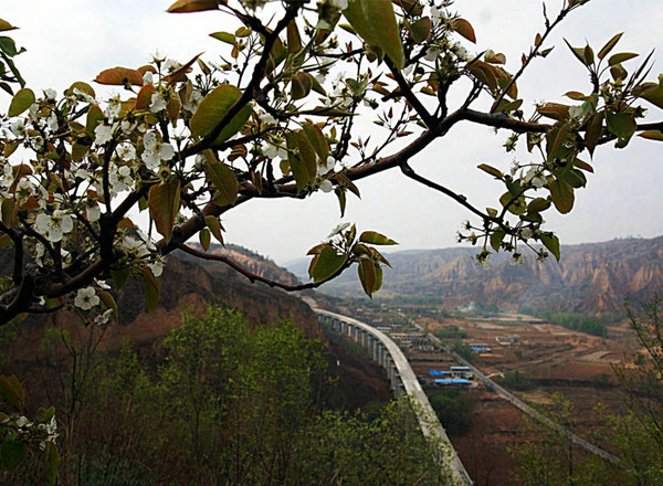 金梨之乡铁路来（10张） 
