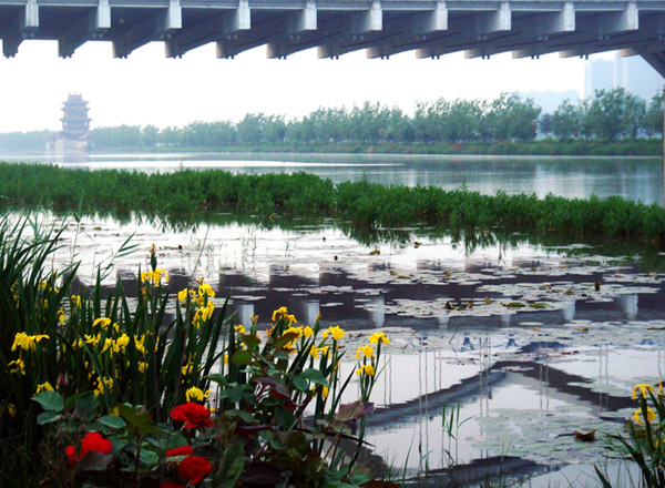 雨后滨河（5张） 