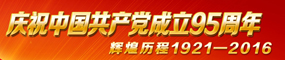 庆祝中国共产党成立95周年 