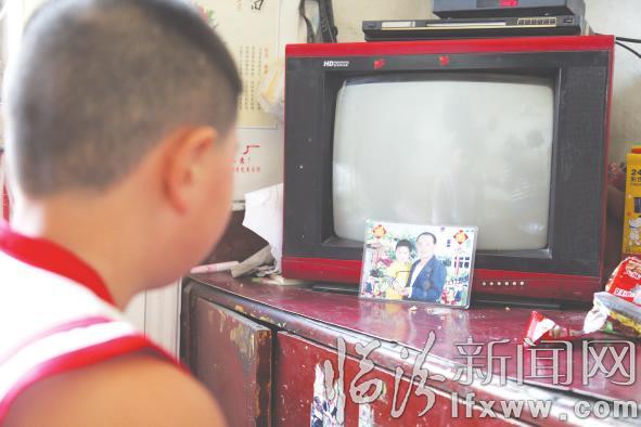 尧都区:拿什么来爱你?我的虎子!