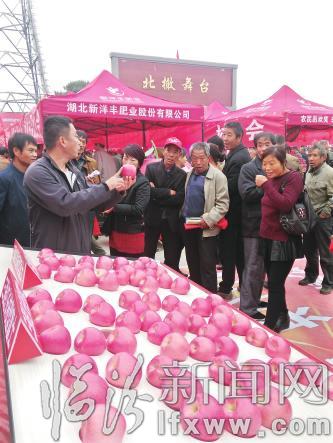 翼城隆化镇:芬芳果香扑面来