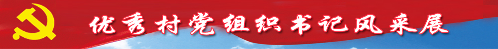 优秀村党组织书记风采展