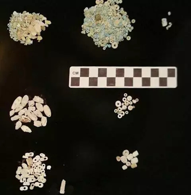 19.webp (1).jpg